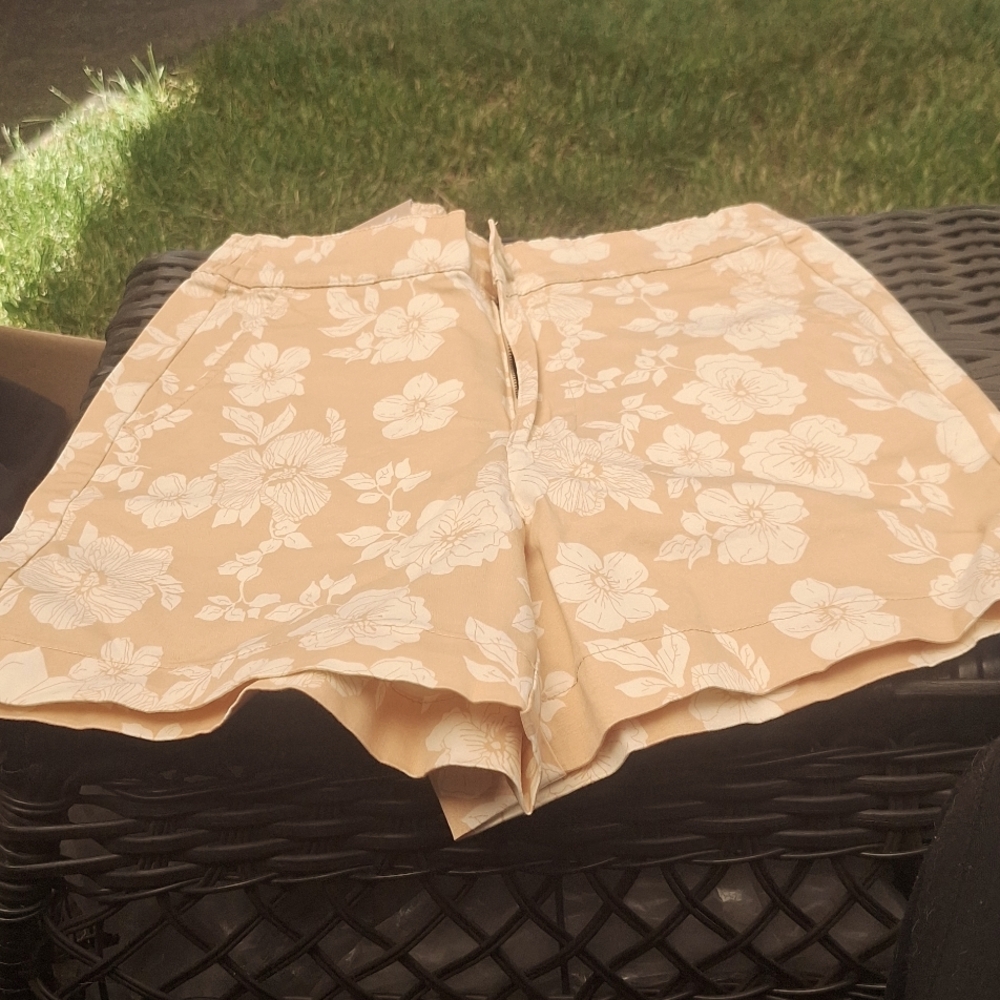 Ladies, jach's girlfriend shorts(13)
